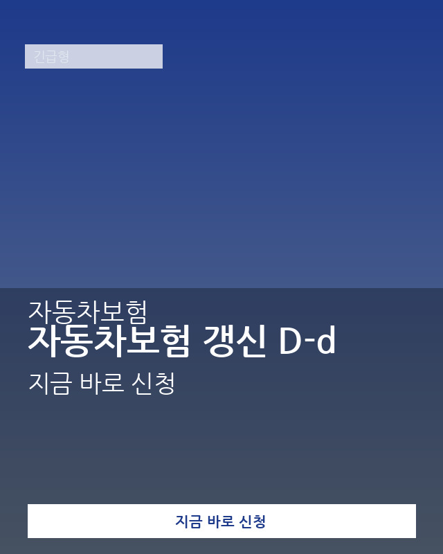 자동차보험