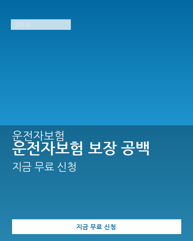 보험